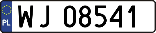 WJ08541