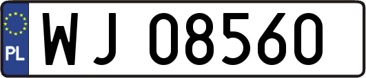 WJ08560