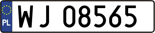 WJ08565