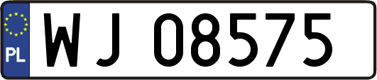 WJ08575