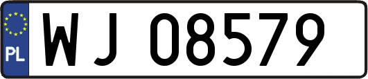 WJ08579