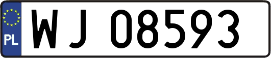 WJ08593