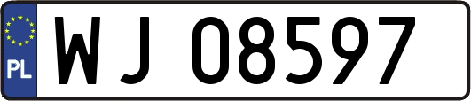 WJ08597