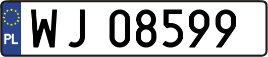 WJ08599