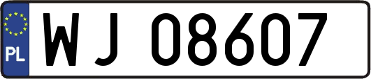 WJ08607