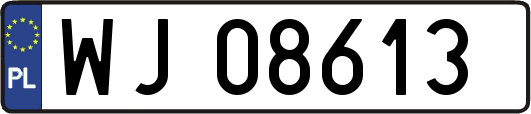 WJ08613