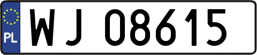 WJ08615