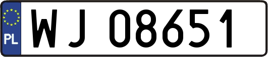 WJ08651
