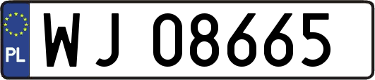 WJ08665