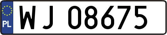 WJ08675