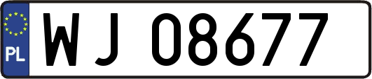 WJ08677