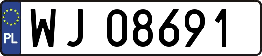 WJ08691