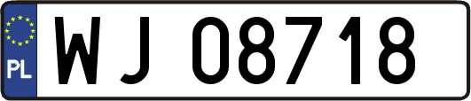 WJ08718