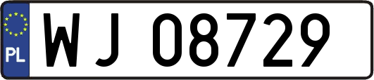 WJ08729