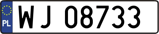 WJ08733