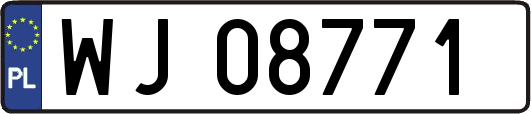 WJ08771