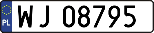 WJ08795