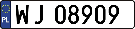 WJ08909