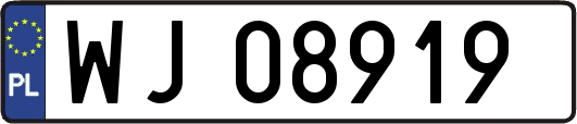 WJ08919