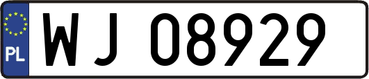 WJ08929