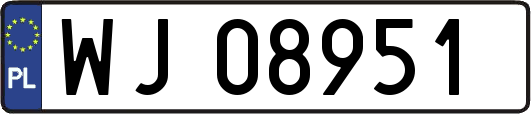 WJ08951