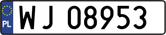 WJ08953