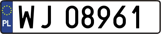 WJ08961