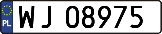 WJ08975