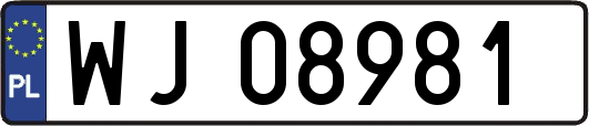 WJ08981