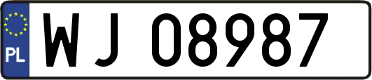 WJ08987