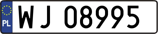 WJ08995