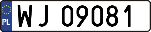 WJ09081