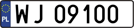 WJ09100