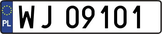 WJ09101