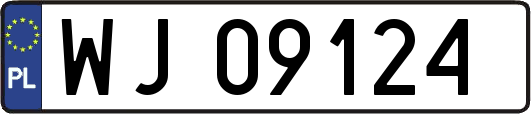 WJ09124