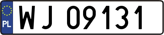 WJ09131