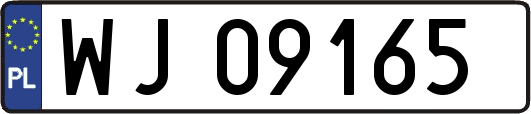 WJ09165