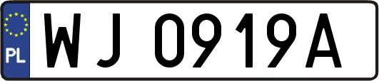 WJ0919A