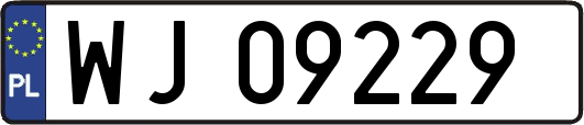 WJ09229