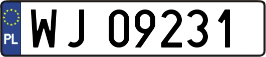 WJ09231