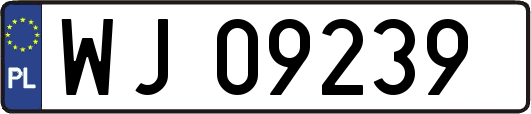 WJ09239