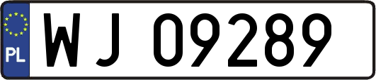 WJ09289