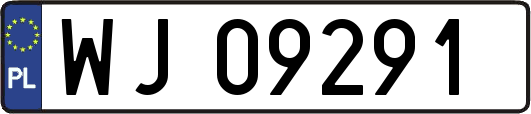 WJ09291