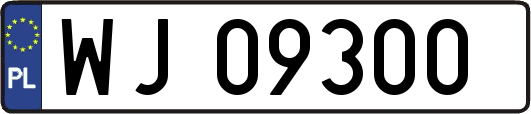 WJ09300