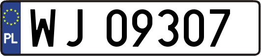 WJ09307