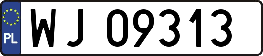 WJ09313