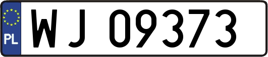 WJ09373