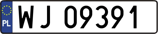 WJ09391
