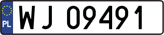 WJ09491