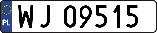 WJ09515